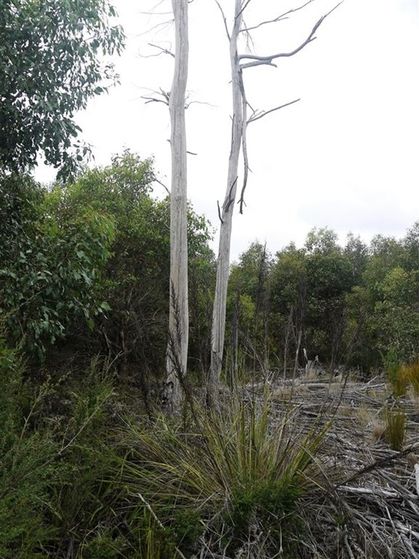 10000 Reekara Road, Reekara TAS 7256, Image 1