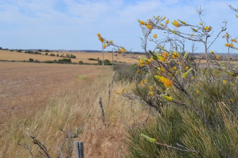 . The Ridge, Cunderdin WA 6407, Image 1