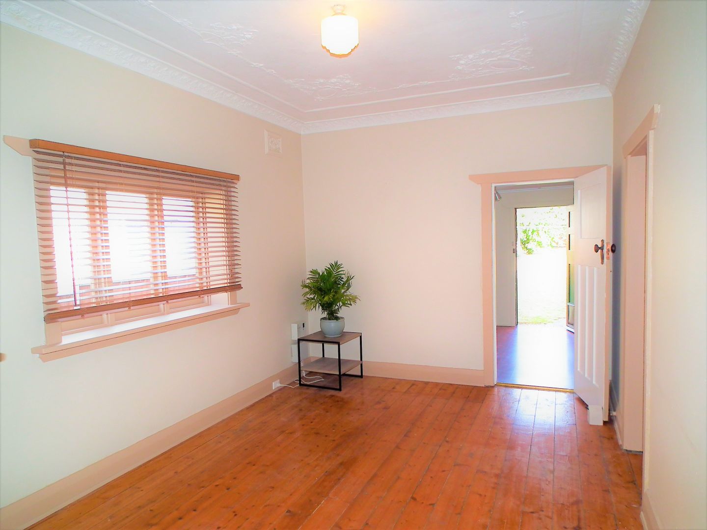 8 Lorking Street, Canterbury NSW 2193, Image 1