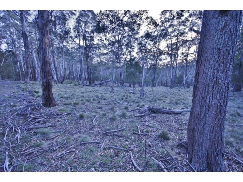 Lot 49101 Off Jerrabattgulla Road, JINDEN NSW 2622, Image 1