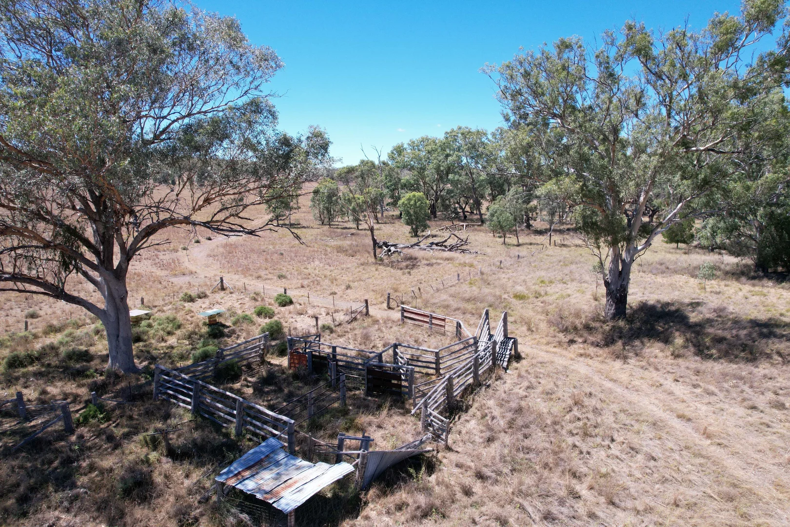 Image 13