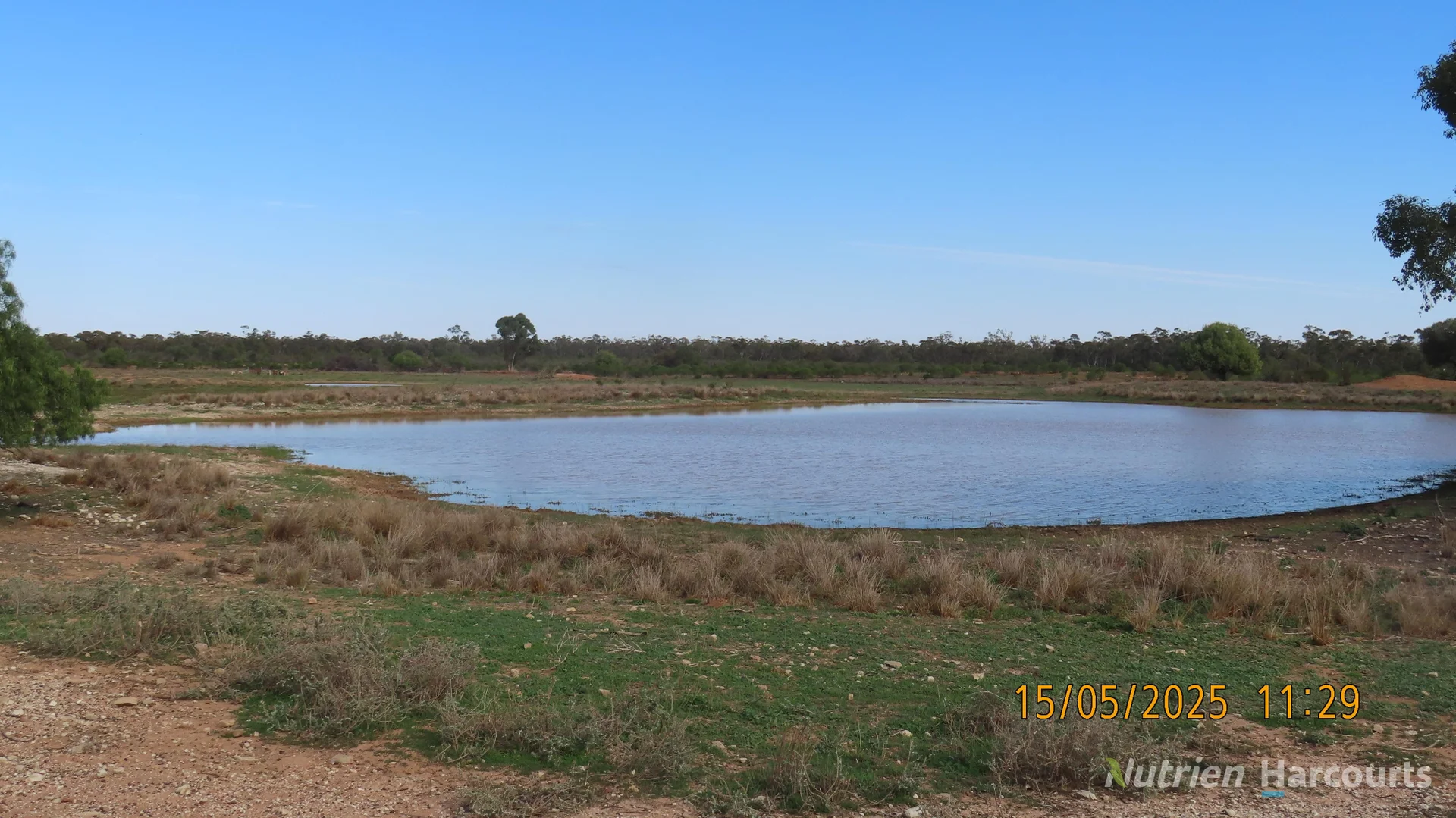 Additional image 24 of * CABLE DOWNS, Cobar NSW 2835