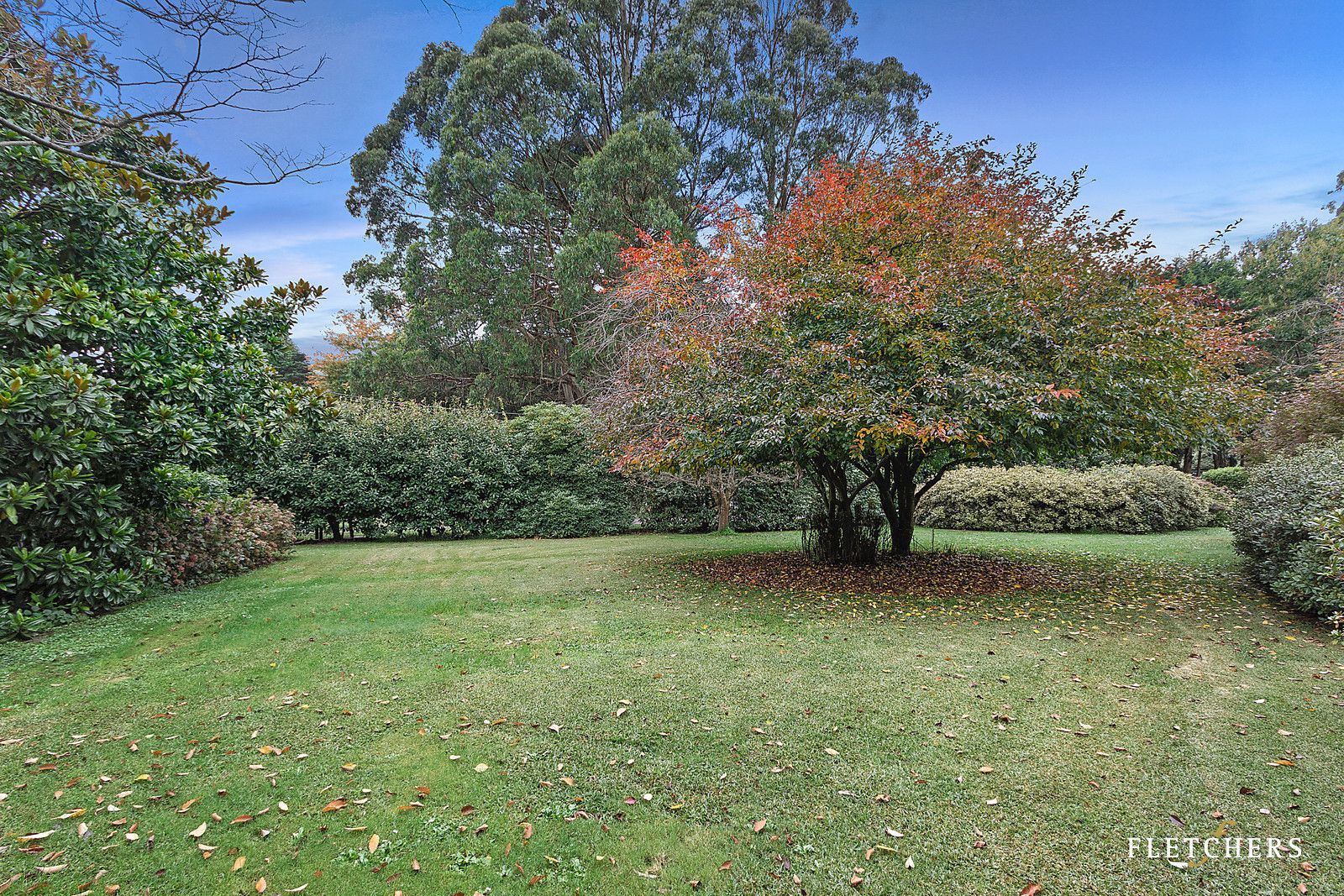 15 Campbell Avenue, Mount Dandenong VIC 3767, Image 2