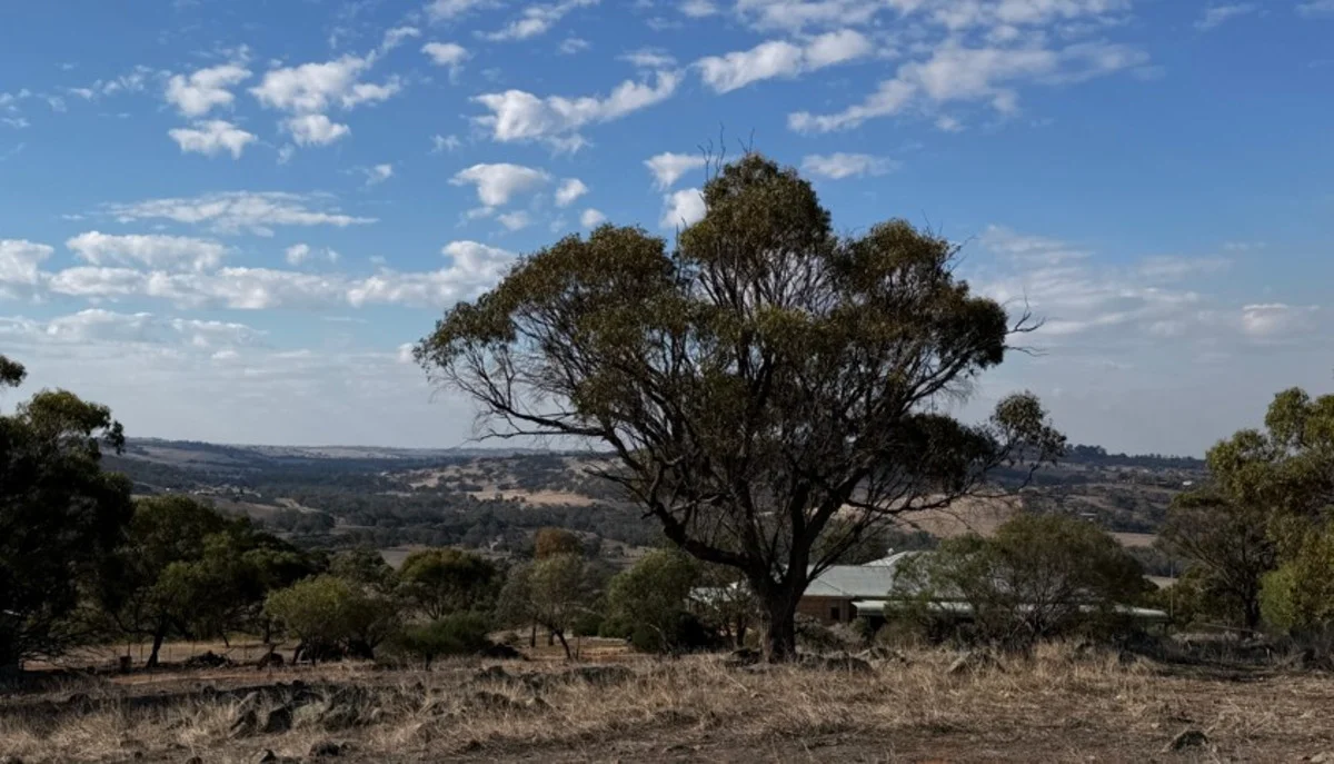 Image 38