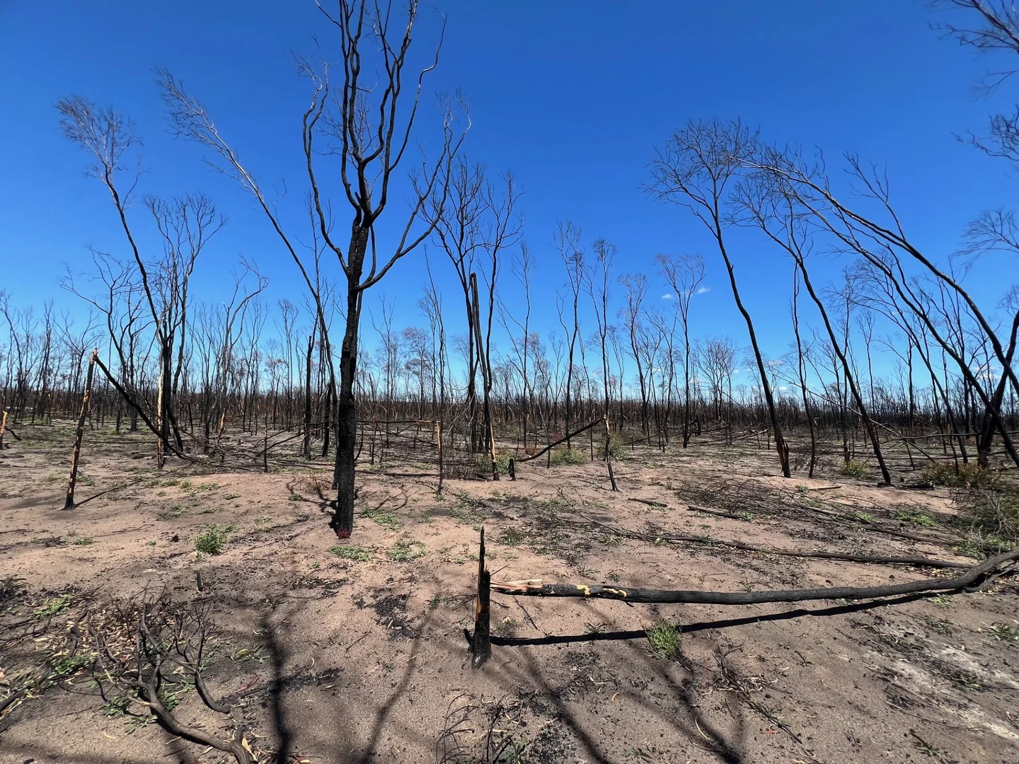 Additional image 7 of Lot 16 Tara-Chinchilla Road, Tara QLD 4421