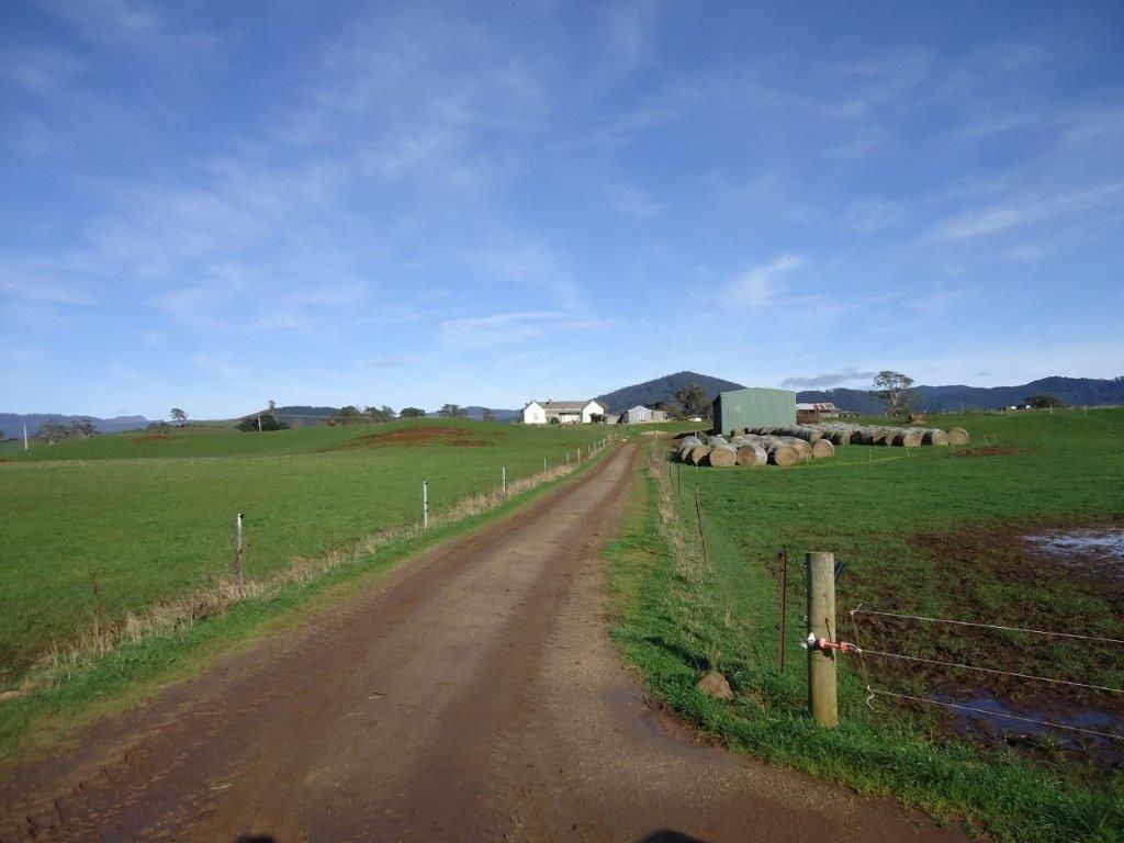 261 Ringarooma Road, Ringarooma TAS 7263, Image 1