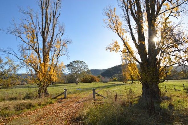 Picture of 204 UPPER KING RIVER ROAD, KING VALLEY VIC 3678