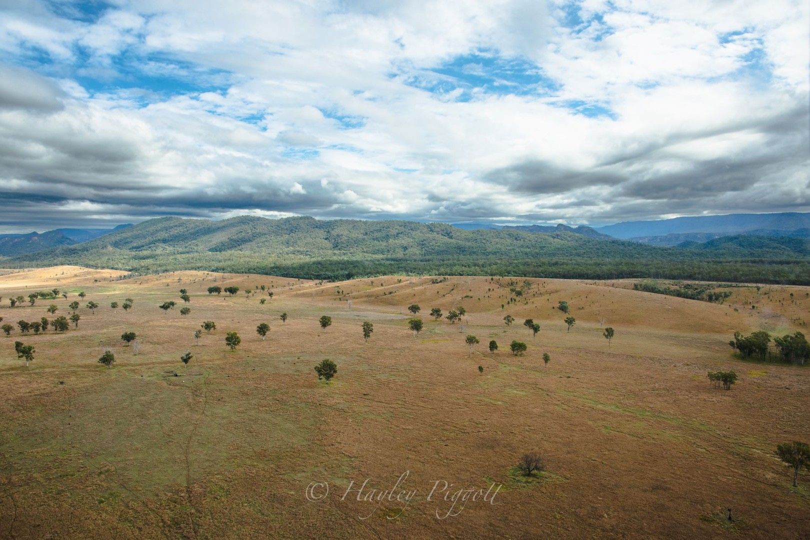 Rewan Road, Rolleston QLD 4702, Image 0