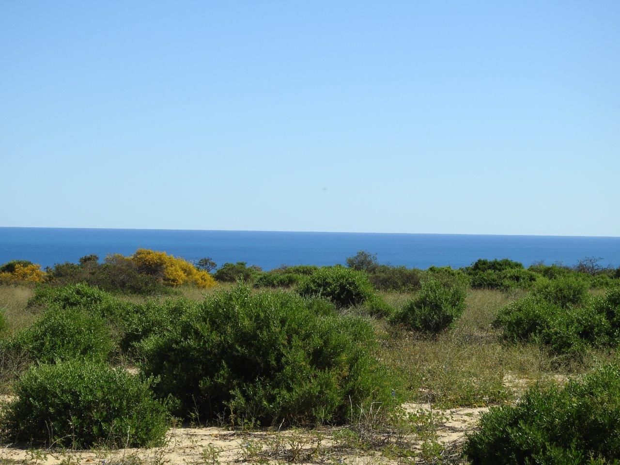 81 Explorer Avenue, Kalbarri WA 6536, Image 1