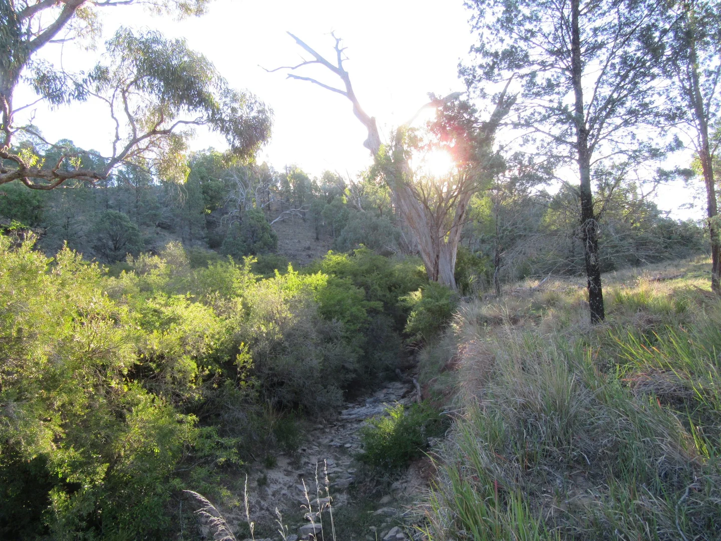 Additional image 9 of 141 Cenn Cruaich Road, Coonabarabran NSW 2357