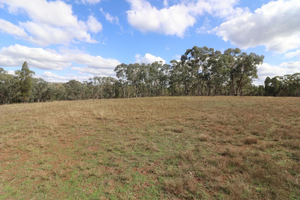 1285 Mogo Road, Wollar NSW 2850, Image 1