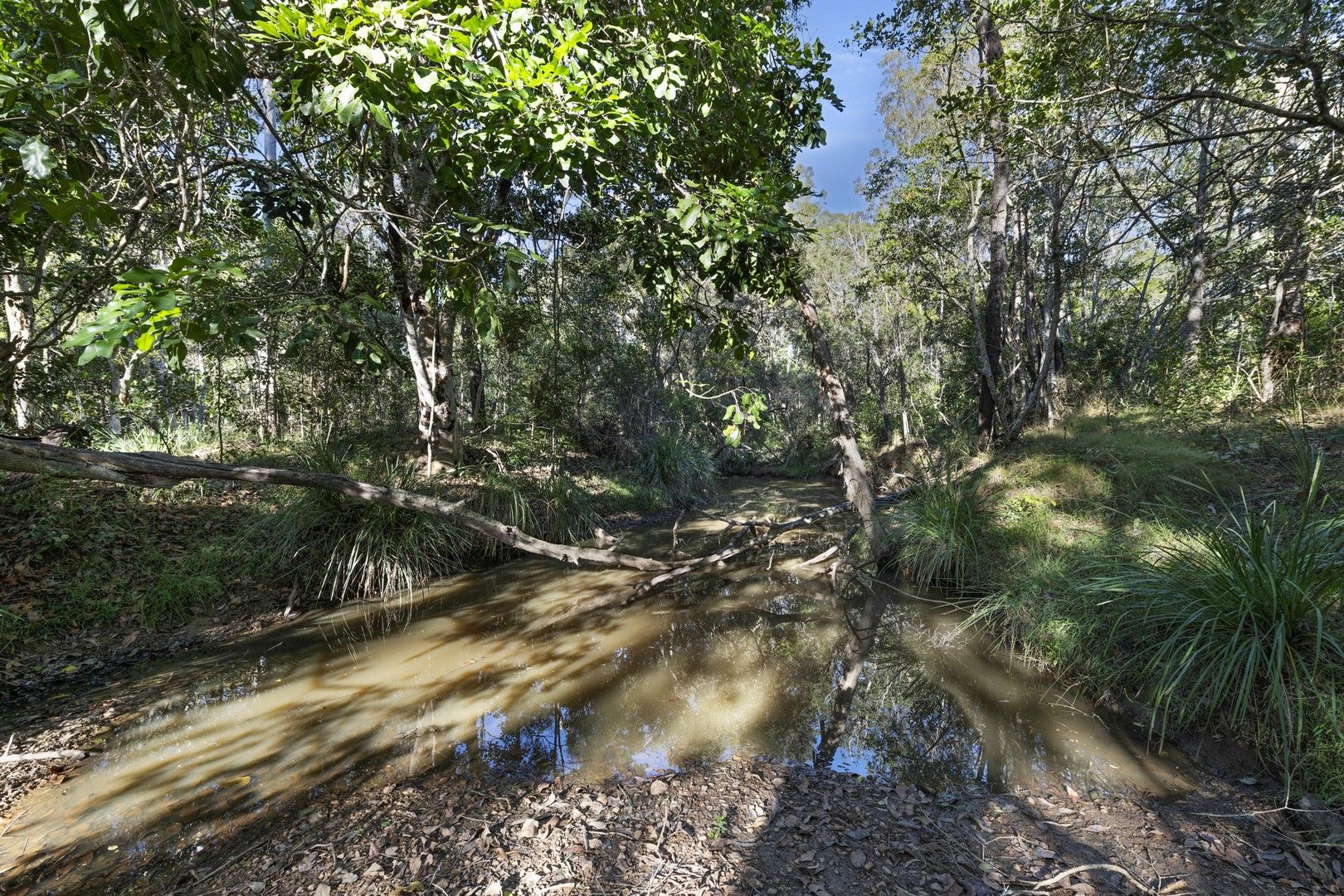 61 Quarry Access Road, Bucca QLD 4670, Image 0