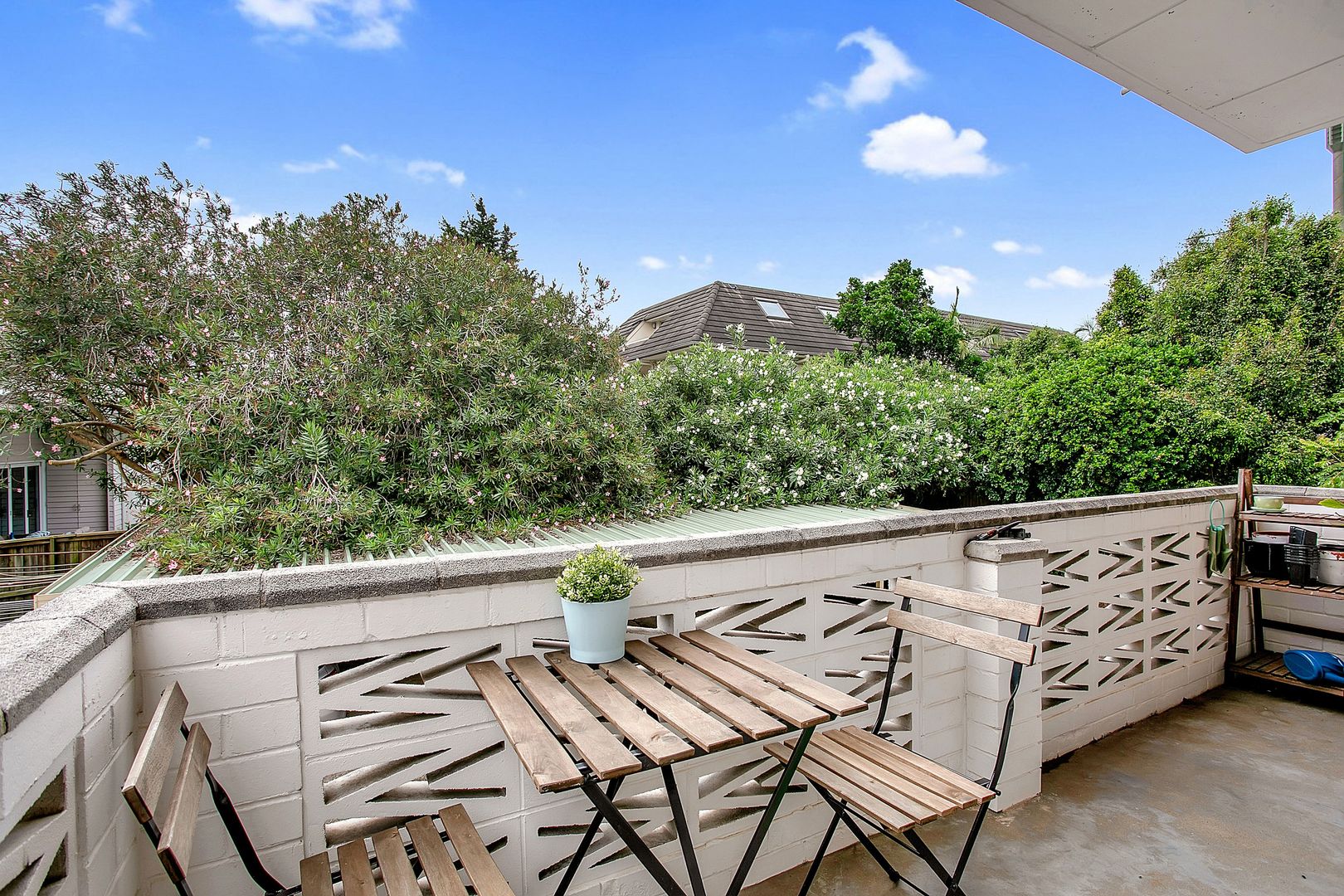 8/3 Dowling Street, Queenscliff NSW 2096 Apartment For Rent Domain