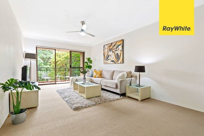 555 Apartments For Sale In Marsfield Nsw 2122 Domain
