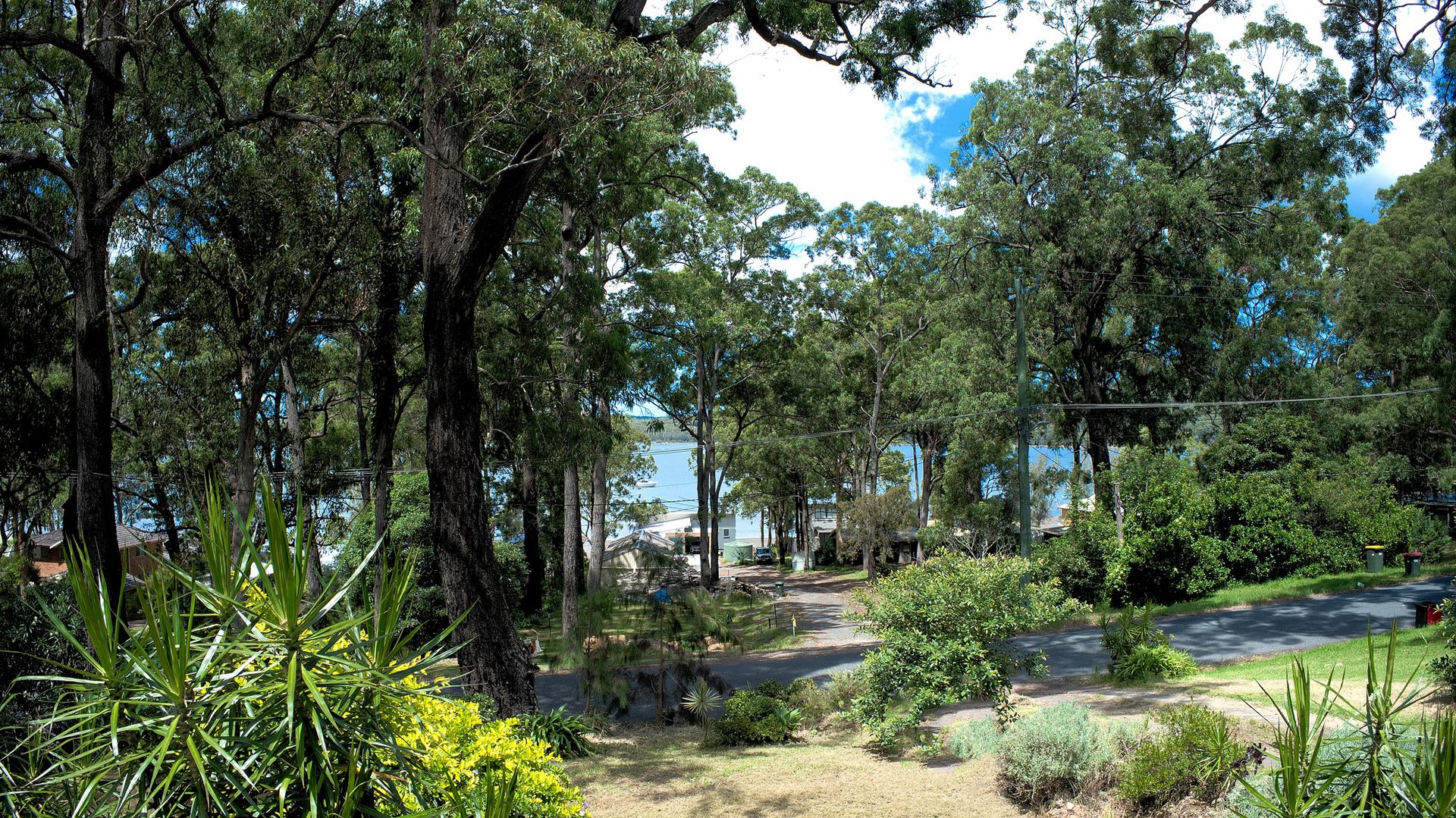 41 Cove Boulevard, North Arm Cove NSW 2324, Image 2