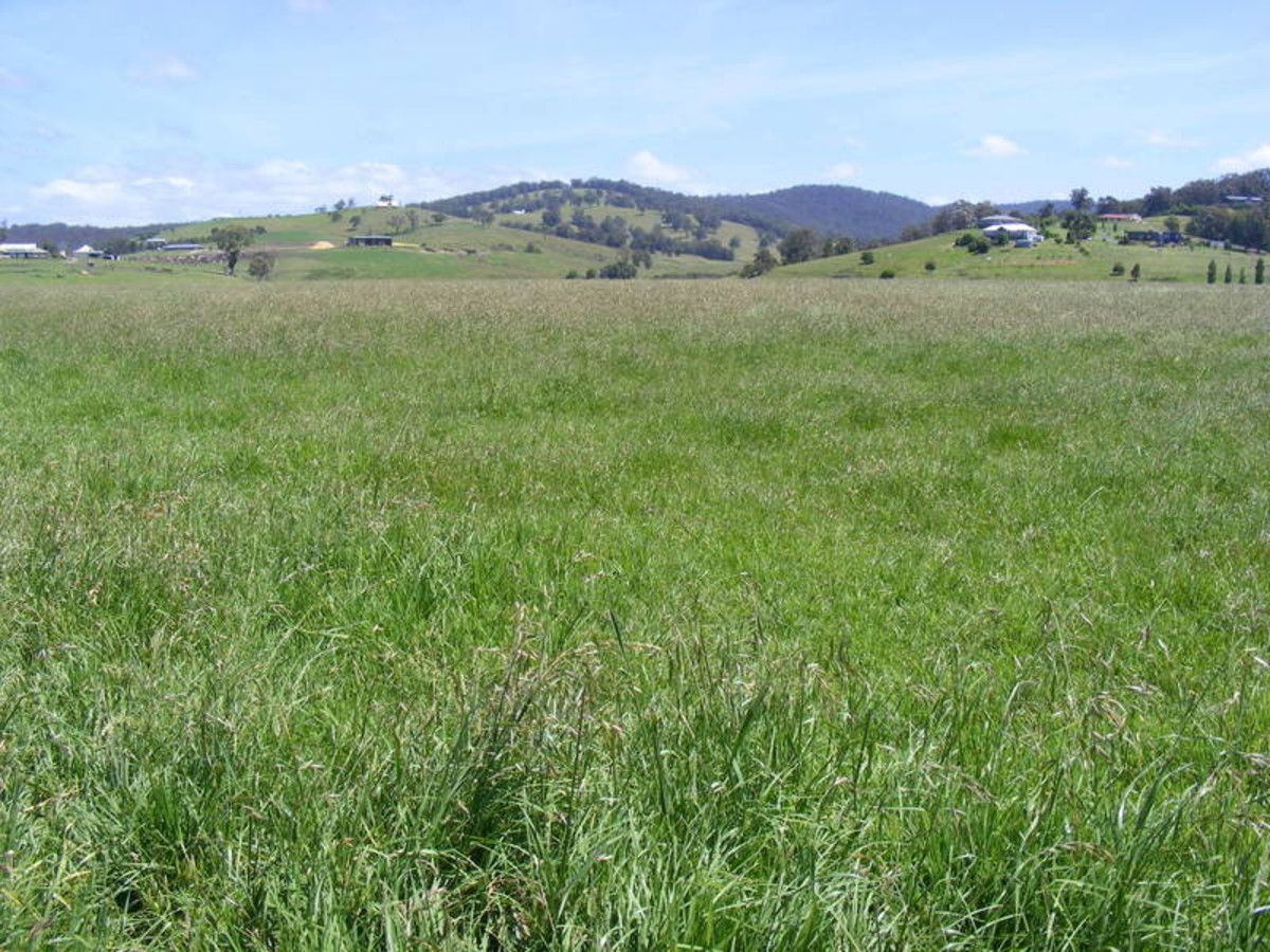 Lot 101 Bega Tathra Road, Jellat Jellat NSW 2550, Image 2