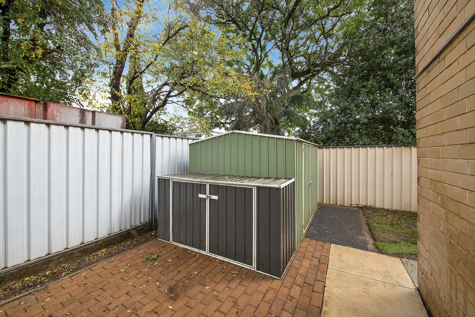 Image 19