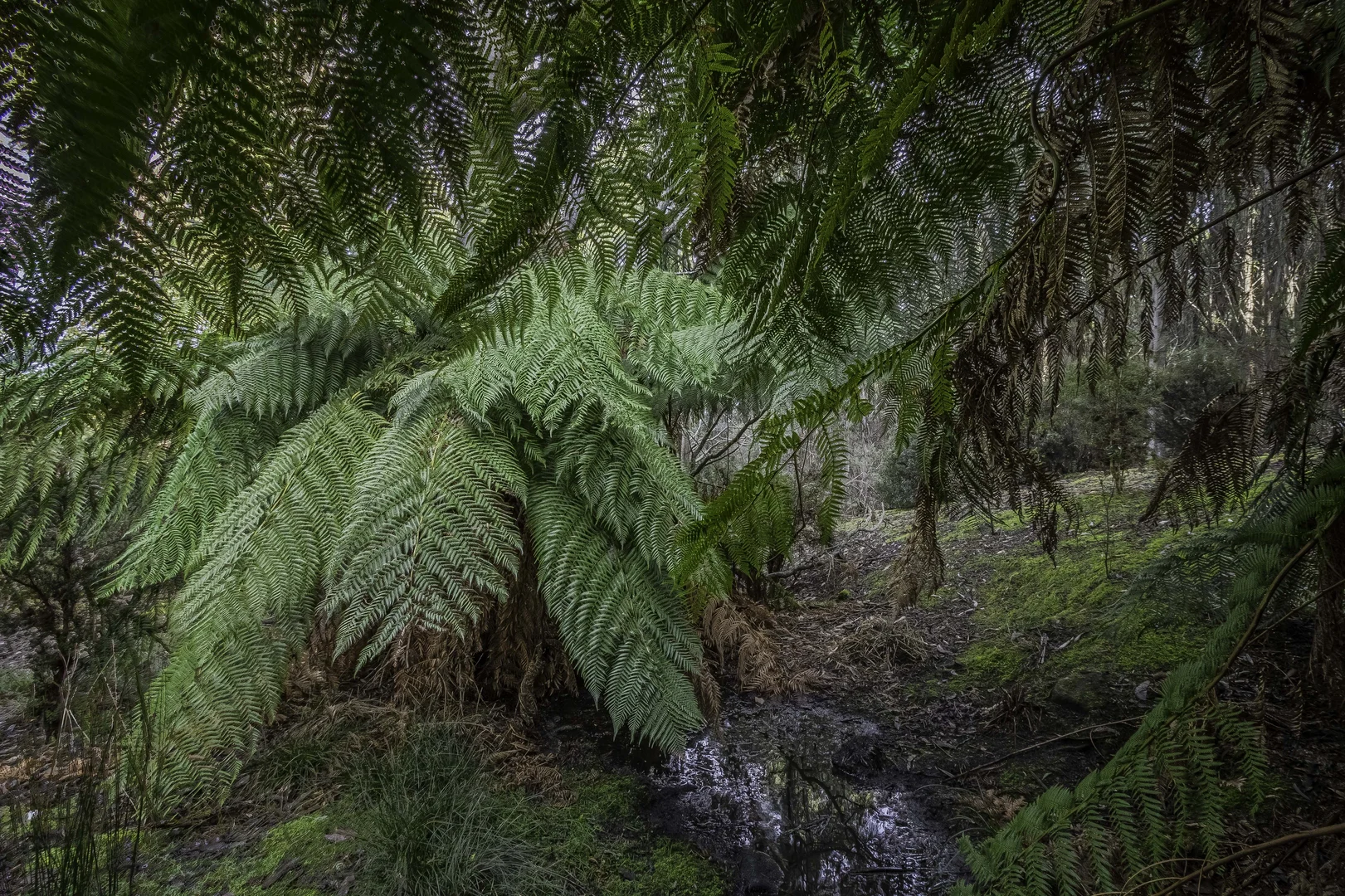 Image 11