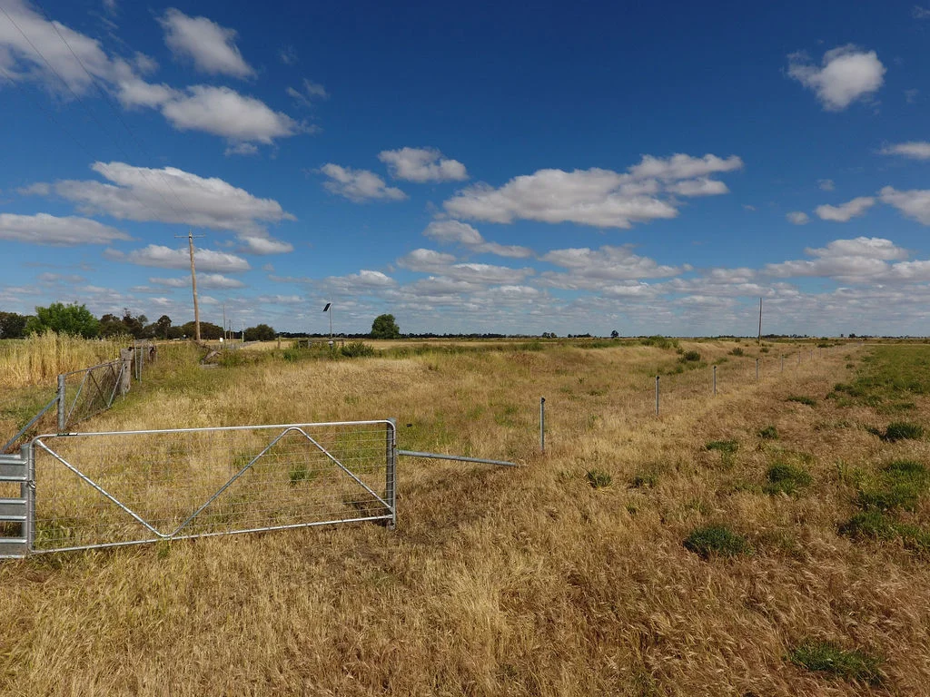 Image 10
