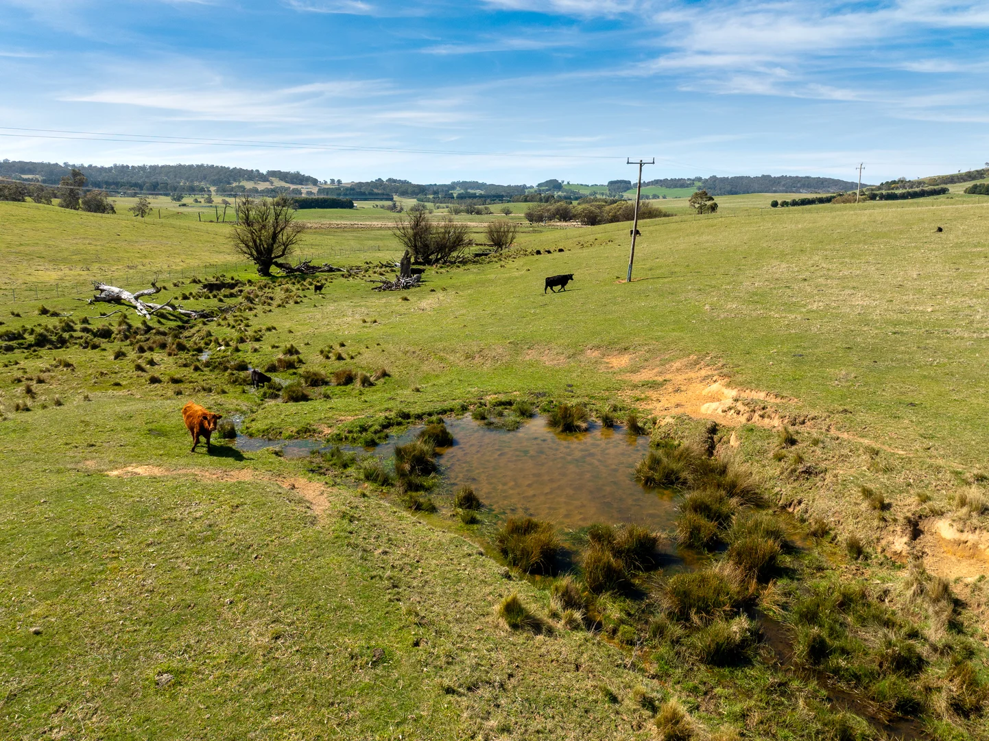 Additional image 4 of Lot 1, 1660 Edith Road, Oberon NSW 2787