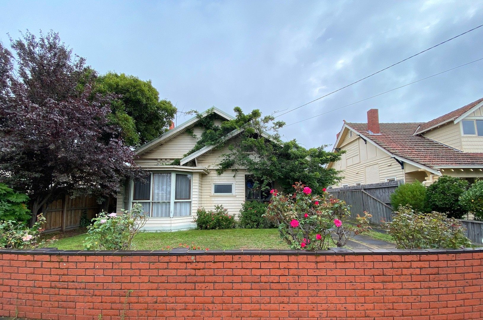 8 Mont Albert Road, Drumcondra VIC 3215 House For Rent Domain