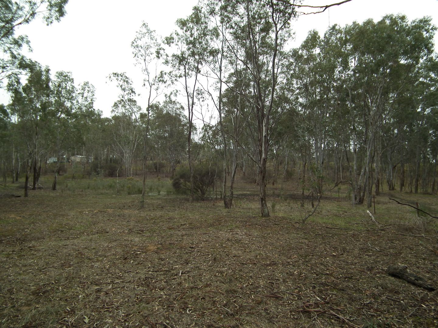 Lot 16 Moran Court, Graytown VIC 3608, Image 1