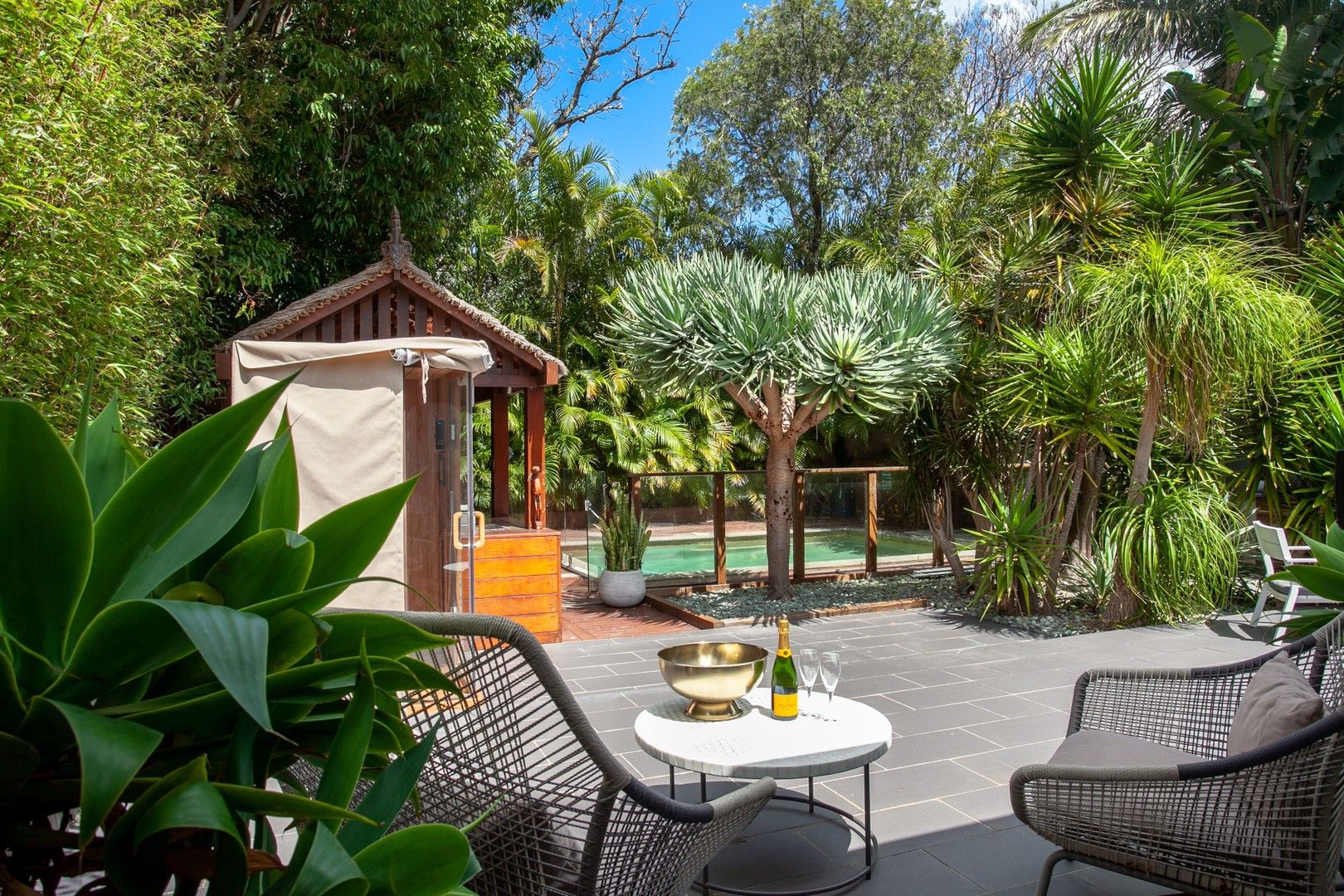 Coogee NSW 2034 4 beds apartment for Rent, 5,000 16419648 Domain