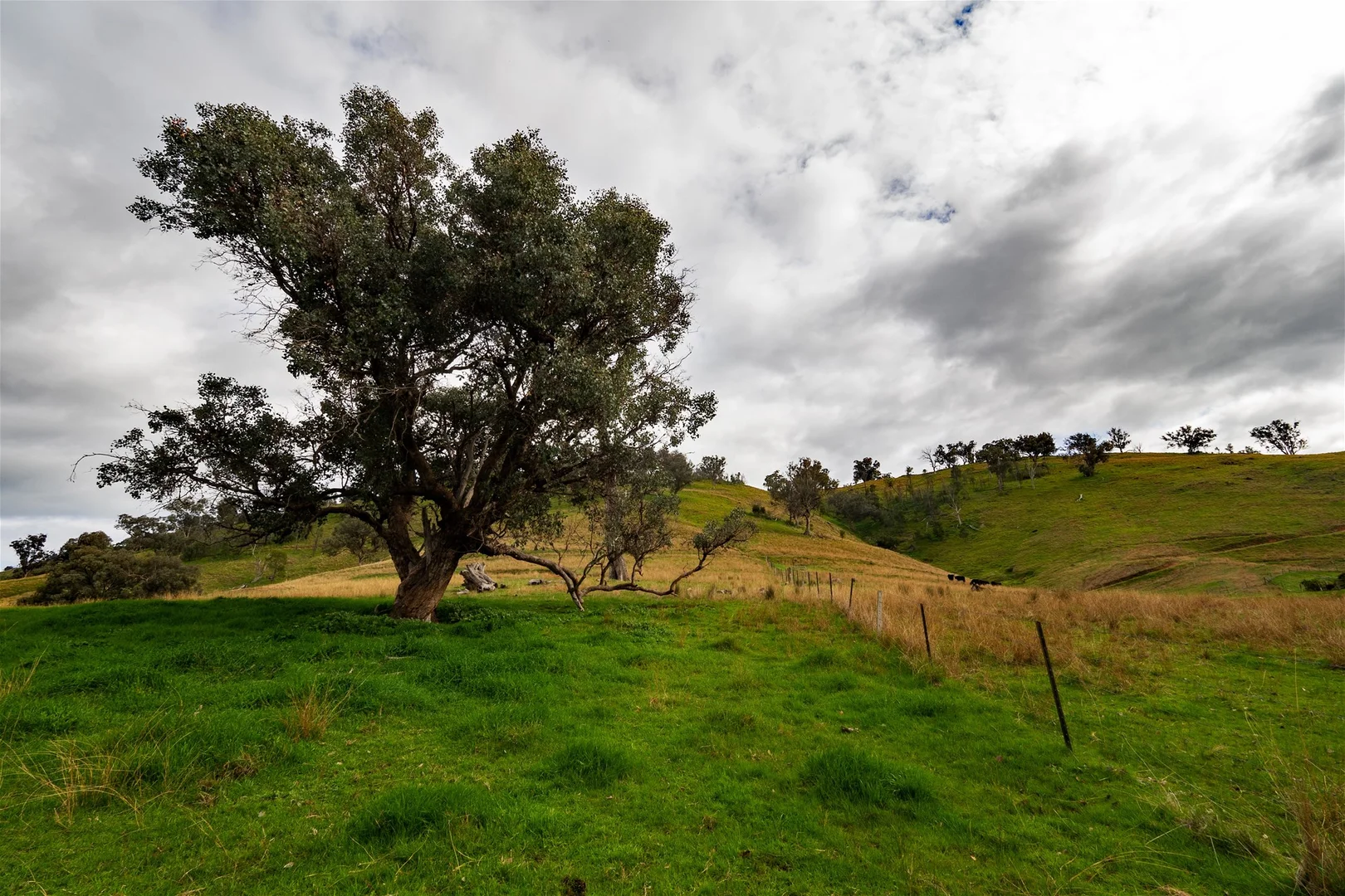Image 15