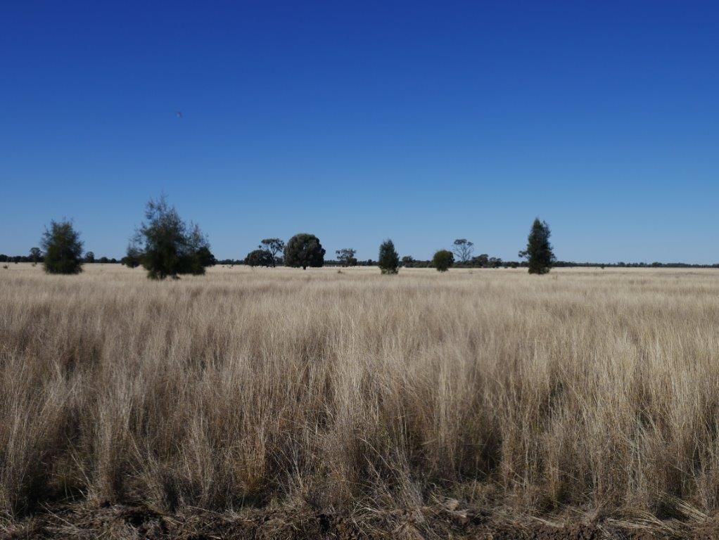 Tara QLD 4421, Image 0