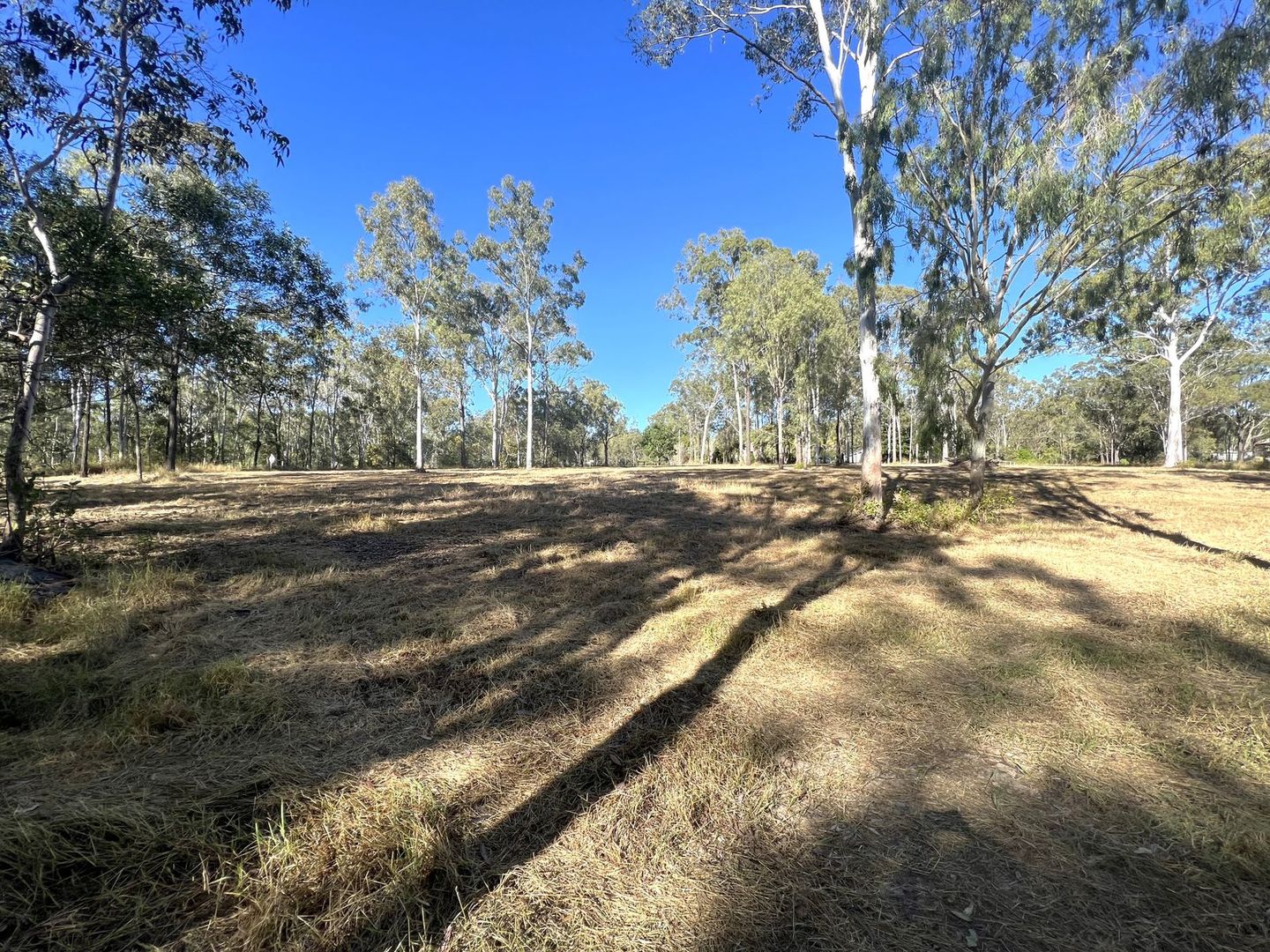 Lot 120 Hamanns Road, Apple Tree Creek QLD 4660, Image 1