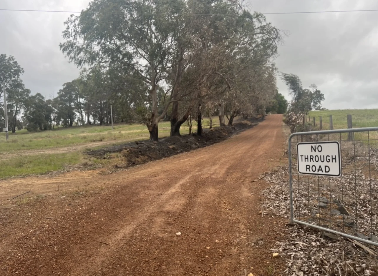 Image 12