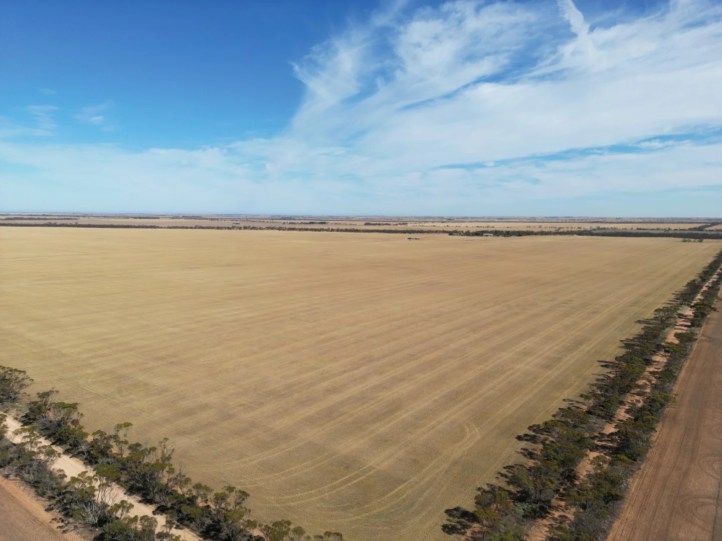 Additional image 7 of 2290 Bute Road, Bute SA 5560