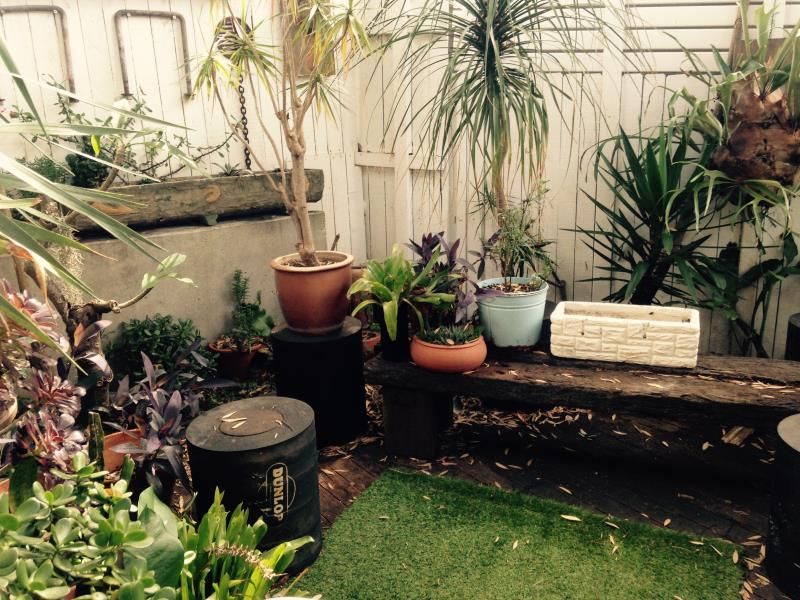 1 bedrooms Apartment / Unit / Flat in U/296 Glenmore Road PADDINGTON NSW, 2021