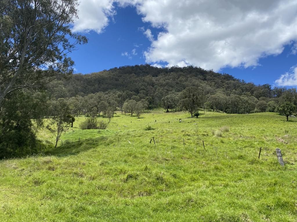 Lot140 Stewarts Brook Road, Stewarts Brook NSW 2337, Image 1