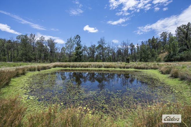 Picture of 100 Frickers Road, NYMBOIDA NSW 2460