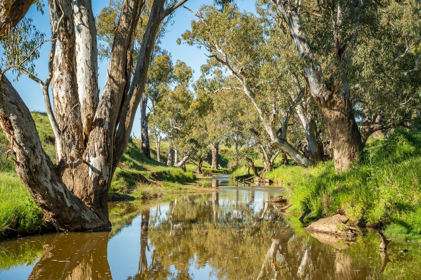 'South Merton' 166 Obley Road, Dubbo NSW 2830, Image 0