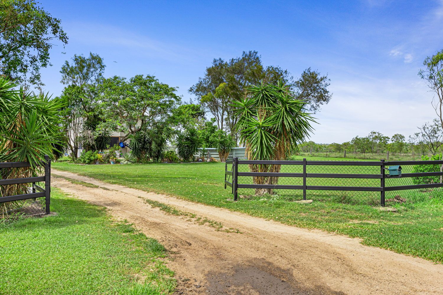 167 Boys Road, Alton Downs QLD 4702, Image 1