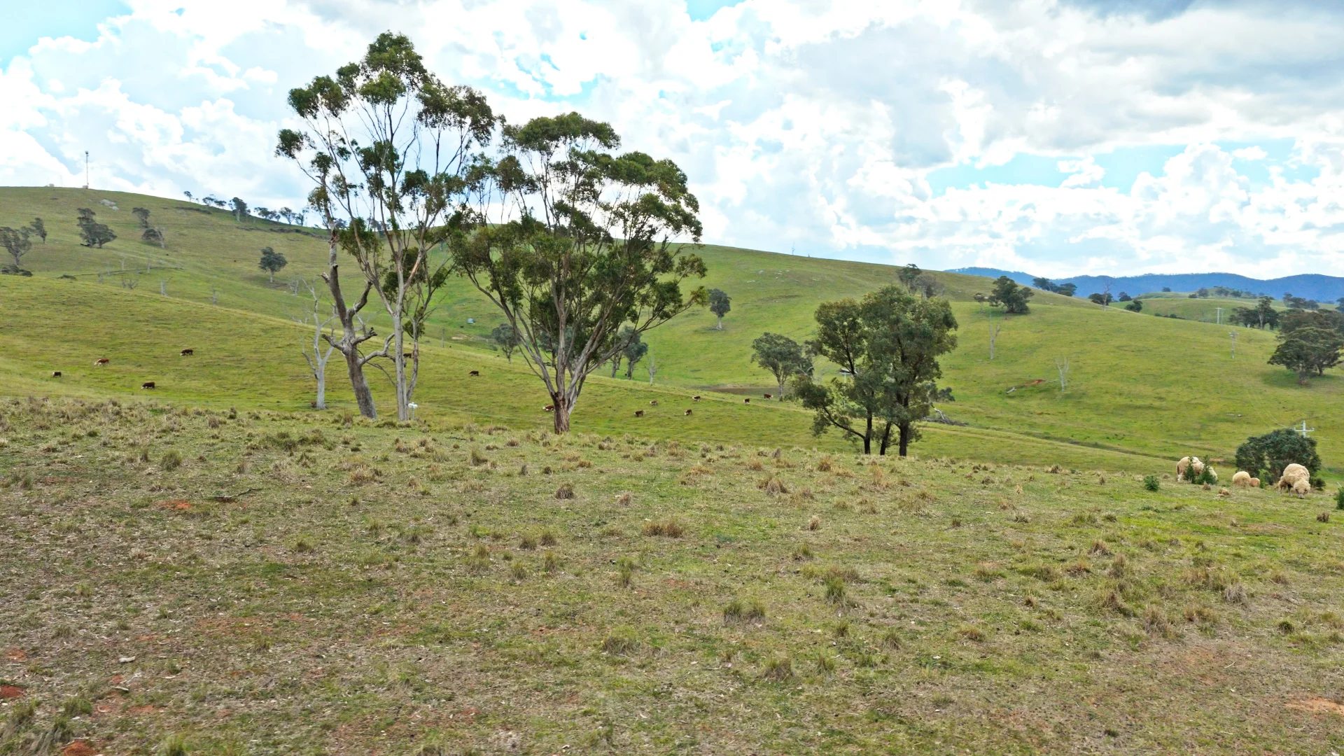 Additional image 8 of Allot 15/5185 Great Alpine Road, Ensay VIC 3895