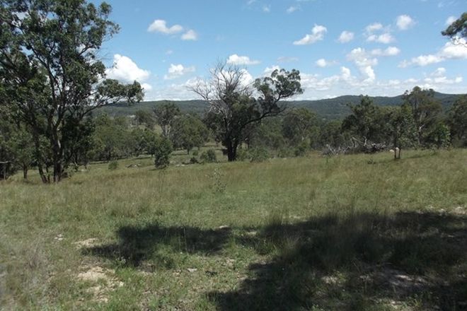 Picture of 204 Wylie Creek Road, WYLIE CREEK NSW 2372