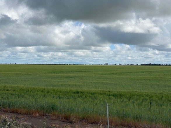 Warracknabeal VIC 3393, Image 0