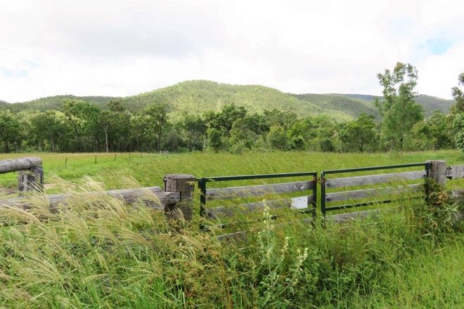 Picture of Lot 37 Oaky Valley Ave, MUTCHILBA QLD 4872