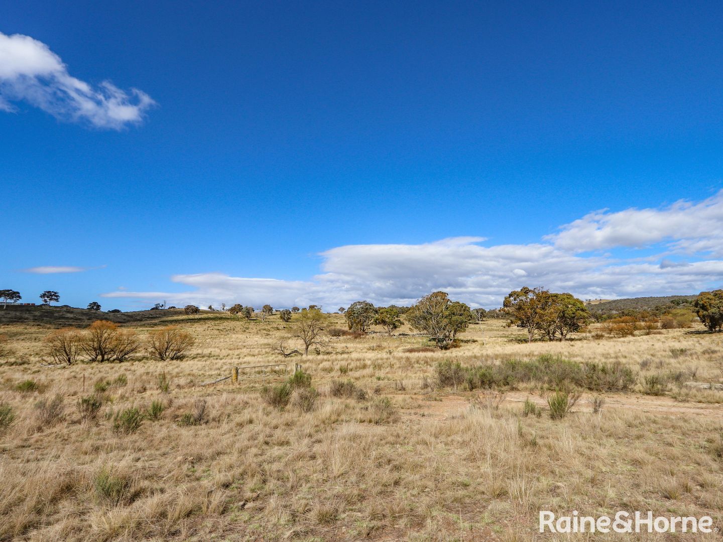 2042 Hill End Road, Sallys Flat NSW 2850 - Specialist Farm for Sale