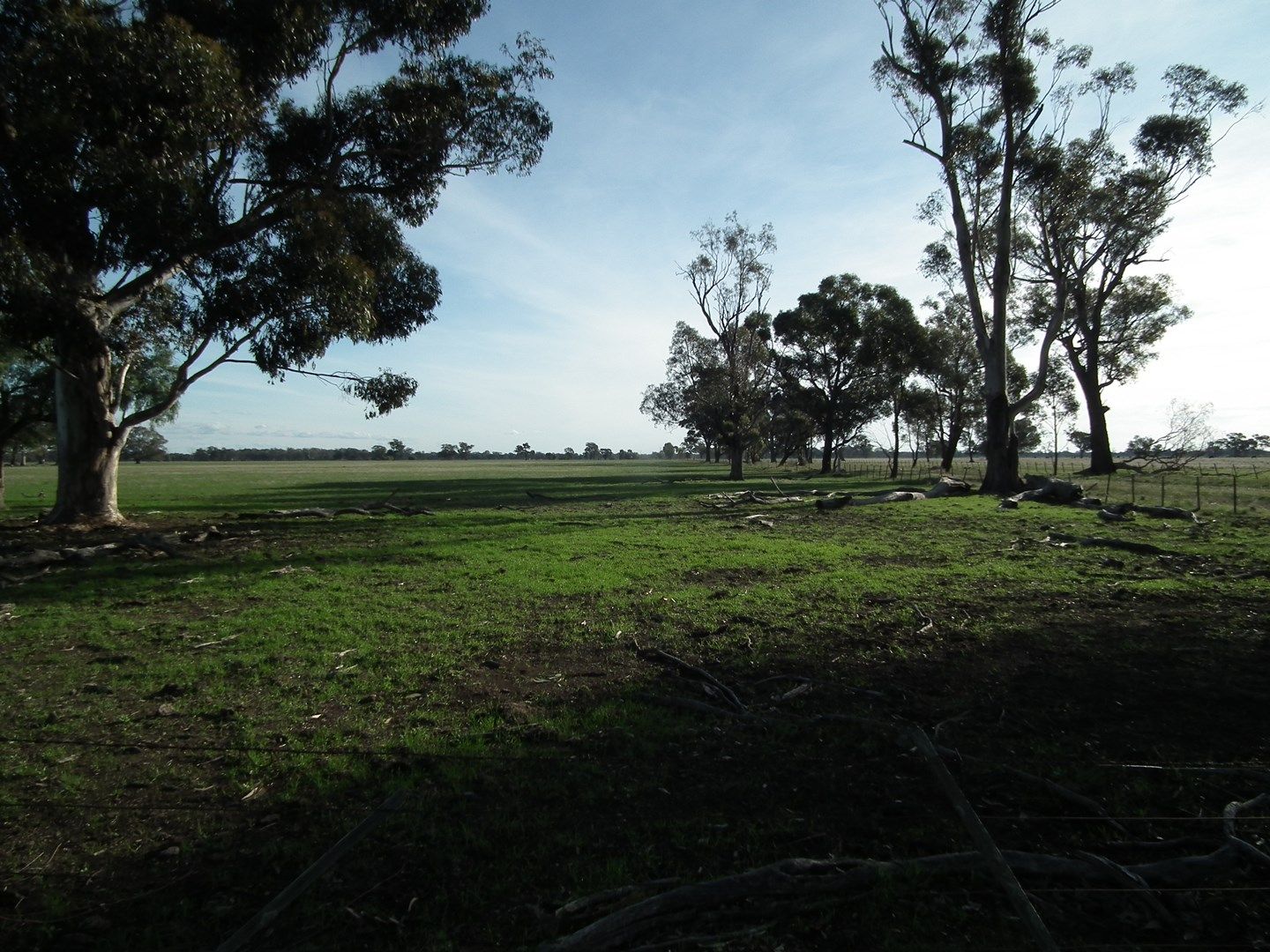 Lot 1 Daldys Road, Arcadia VIC 3631, Image 0