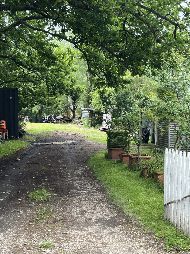 Image 13