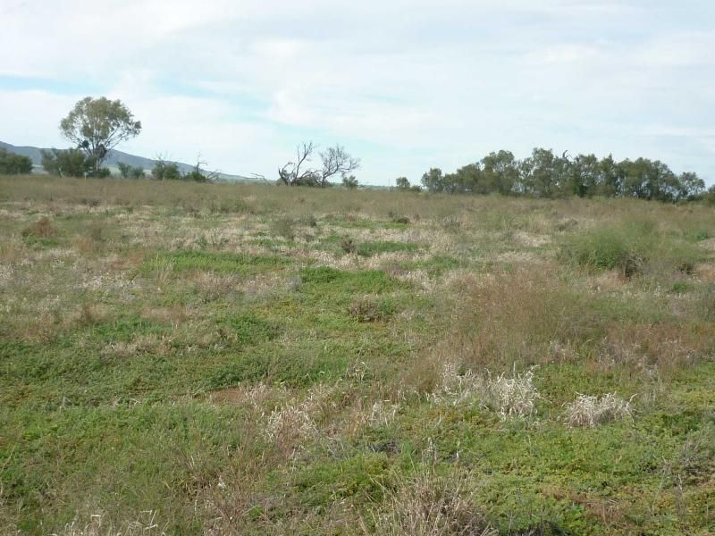 Lot 11 Gulf View Road, Napperby SA 5540, Image 0