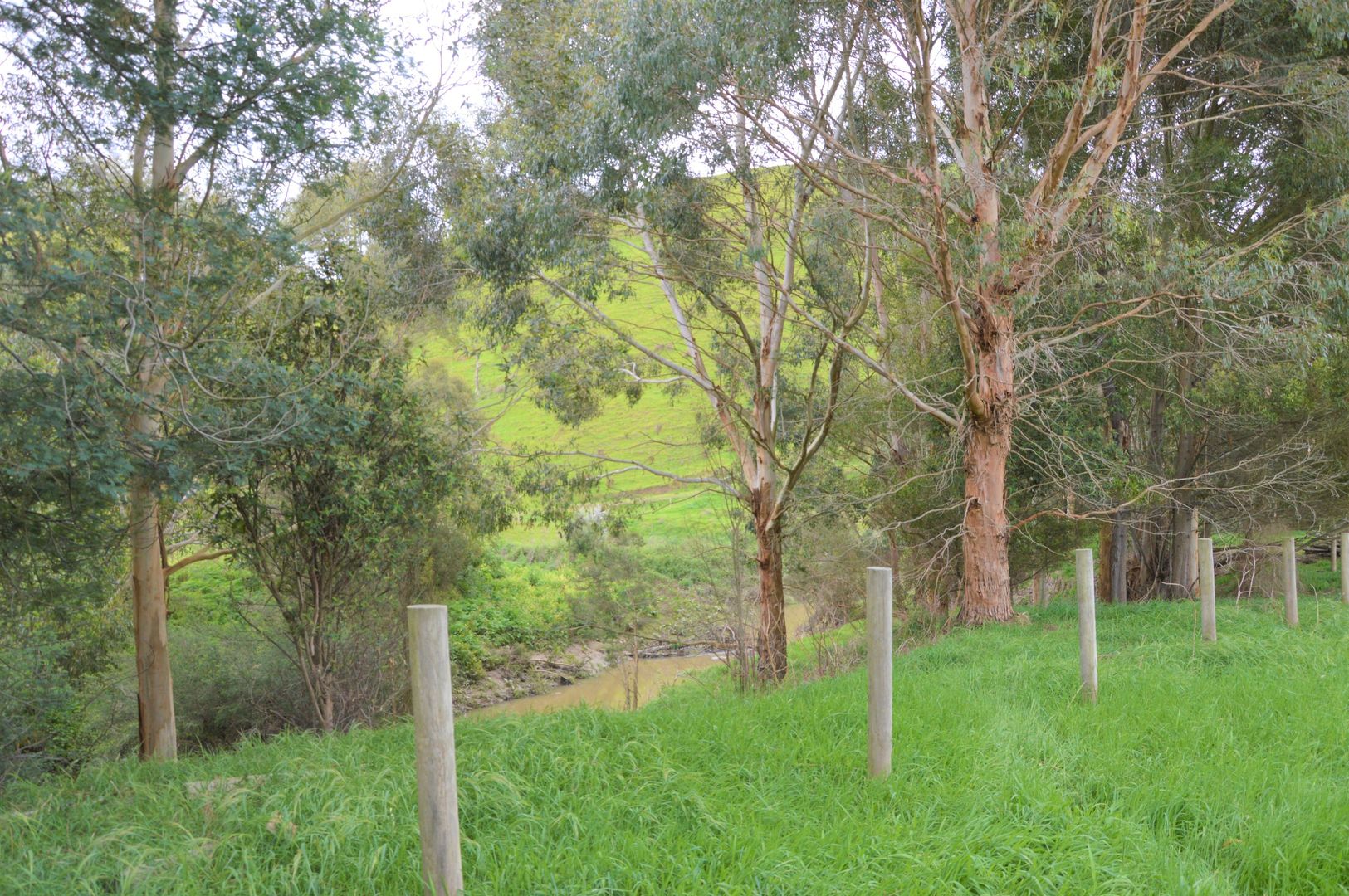 Lot 1, 6 Mount Eccles Road, Mount Eccles VIC 3953 House for Sale