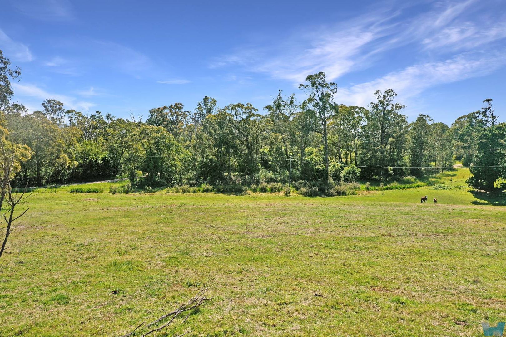 56 Barkly Street, Wiseleigh VIC 3885 Vacant Land for Sale Domain