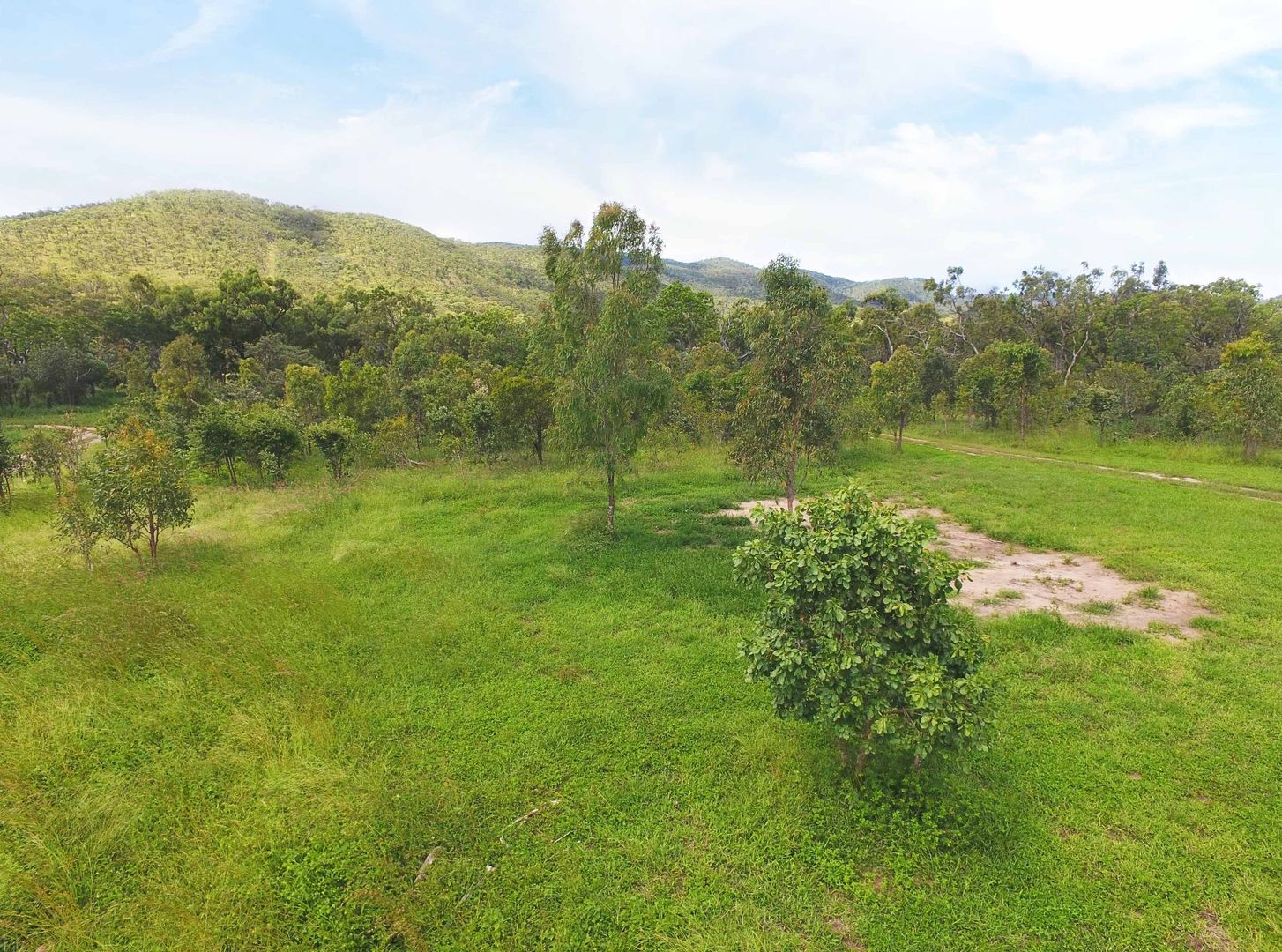 Lot 37 Oaky Valley Ave, Mutchilba QLD 4872, Image 1