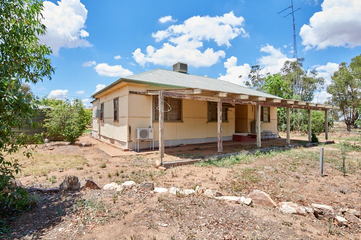 342 Matong North Road, Matong NSW 2652, Image 2