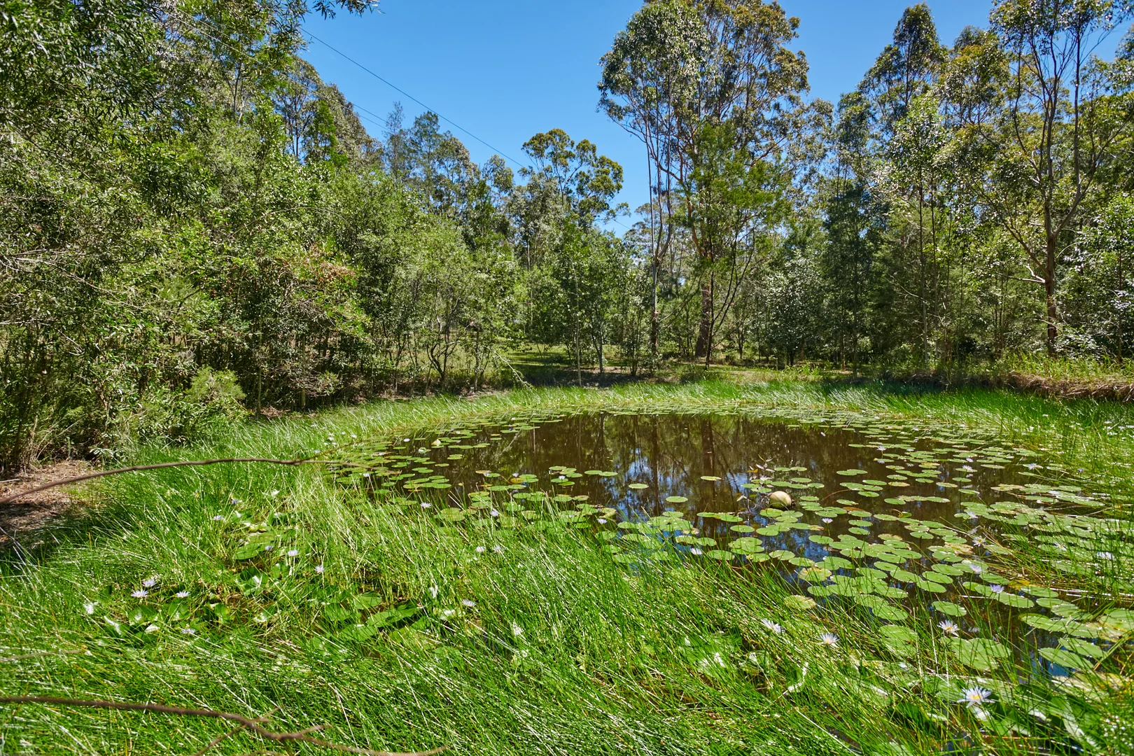 Additional image 14 of 872 Markwell Road, Markwell NSW 2423
